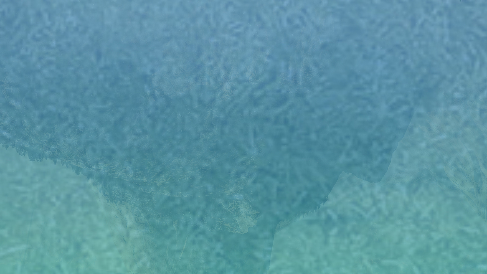 免费短信云呼轰炸机